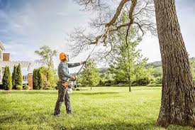 Lawn Watering Services in Melrose Park, NY