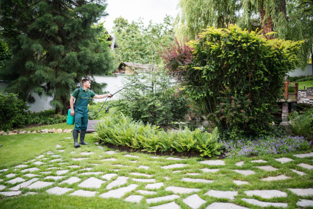 Best Lawn Watering Services  in Melrose Park, NY