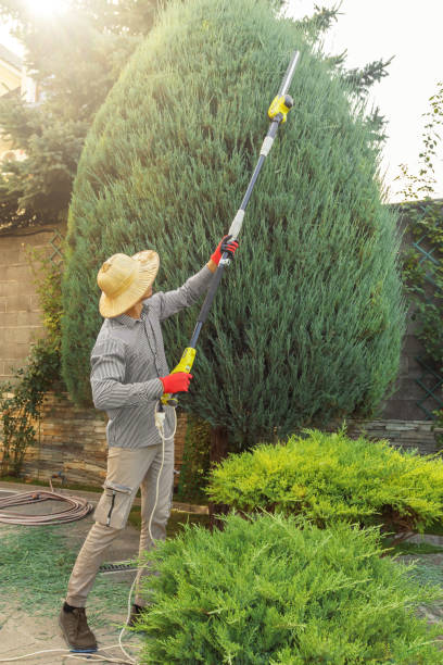 Best Storm Damage Tree Cleanup  in Melrose Park, NY